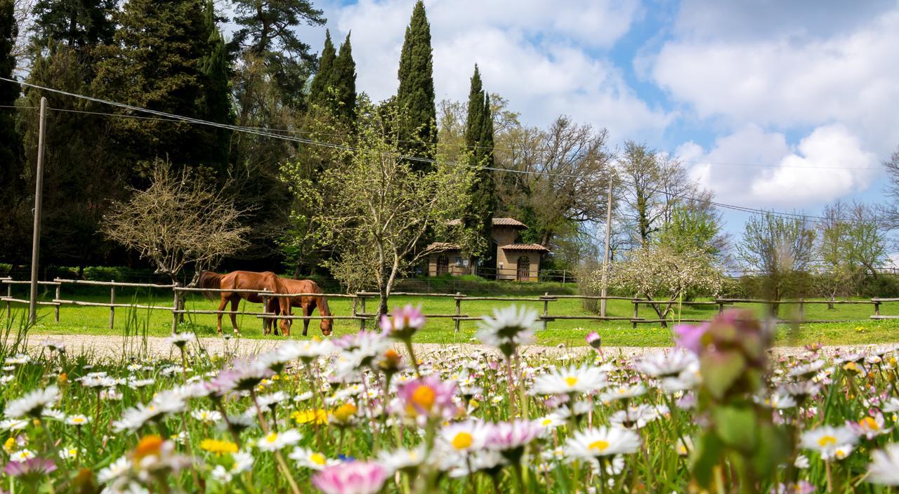 Вилла Castello Santa Cristina Grotte di Castro Экстерьер фото